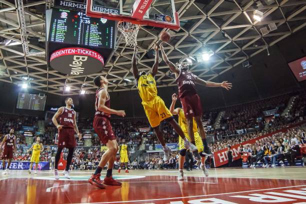 结论性观察 结论性观察